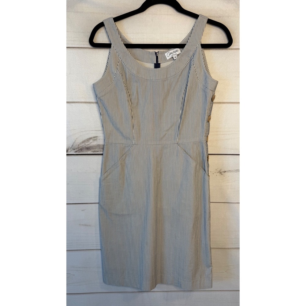 Amy Matto New York Womens Pinstripe Sleeveless Sheath Dress Blue White Size 2